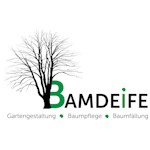 Logo Bamdeife 
